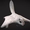 Siberian Flying Squirrel with Gray Brown Fur and Gliding Membrane in Coniferous Forests