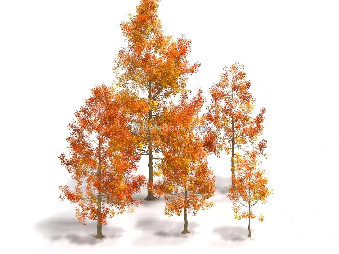 maple tree maple leaf tree red maple tree landscape tree street tree 3d model
