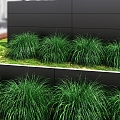 Grass 3d model