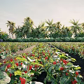 Tropical Strawberry Field Scenery With Lush Palm Trees And Red Fruits