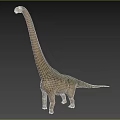 Realistic Long Neck Dinosaur 3D Model With Greenish Skin And Gray Background