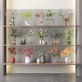 Stylish Flower Vases with Greenery on Multiple Wooden Shelves in Modern Interior Decor