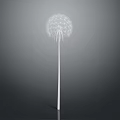 Single White Dandelion Plant With Slender Stem Isolated On Gray Background