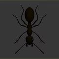 Detailed Black Ant With Long Antennae And Segmented Body On Dark Background