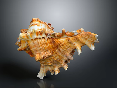 Unique Spiral Conch Shell With Spiked Edges Textured Surface And Brown White Hues 3d model