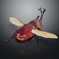 Modern Beetle Beetle Dung Beetles 3d model