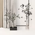 Elegant Interior With Beige Curtains White Wall Black Frame Transparent Vases And Slender Branch Plants
