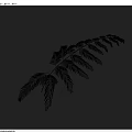 Green Fern Leaf with Light Blue Background and Natural Shadow Details