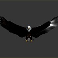 Modern Eagle Eagle Carving Like Eagle Statue Eagle Carving 3d model