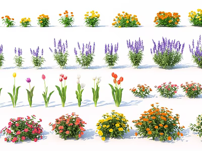 Modern Flowers Tulip Flowers Flowers and Plants Combination Lavender Shrubs Trees Landscape Planting Landscape Flowers Outdoor Plants Flowers Greening 3d model