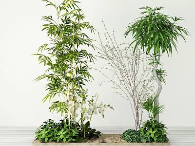 Assorted Plants With Bamboo Palm Slender Branches And Low Growing Greenery In Light Colored Background 3d model
