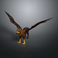 Majestic Eagle With Spread Wings Detailed Feathers And Sharp Claws In Striking Pose