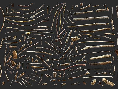 Assorted Natural Stone and Wood Pieces with Different Shapes and Textures 3d model