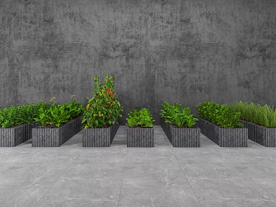 Modern crops Vegetable fields 3d model