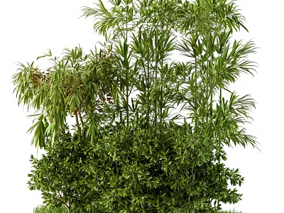 Lush Green Plants Collection For Decoration 3d model