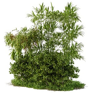 Plant pile bamboo 3d model