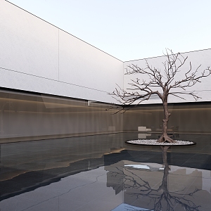 Chinese Courtyard Pool Waterscape Trees Dead Trees 3d model