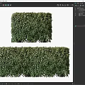Well Trimmed Lush Green Bushes for Garden Landscape Decoration and Outdoor Design