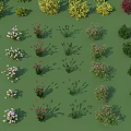 Various Shrubs With Different Colors Shapes And Foliage Displayed On Green Background