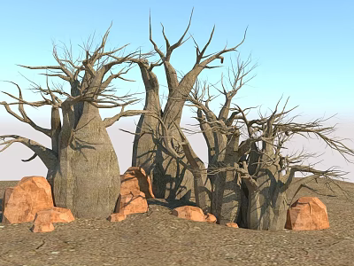 Leafless Baobab Trees With Thick Trunks Among Red Rocks And Sandy Ground Under Blue Sky 3d model