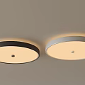Round Ceiling Lights with Black and Silver Frames for Indoor Room Bright Illumination 3d model