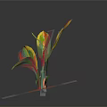 Cartoon Plant With Colorful Leaves Brown Base And Blue Glow On Dark Background With Reflection