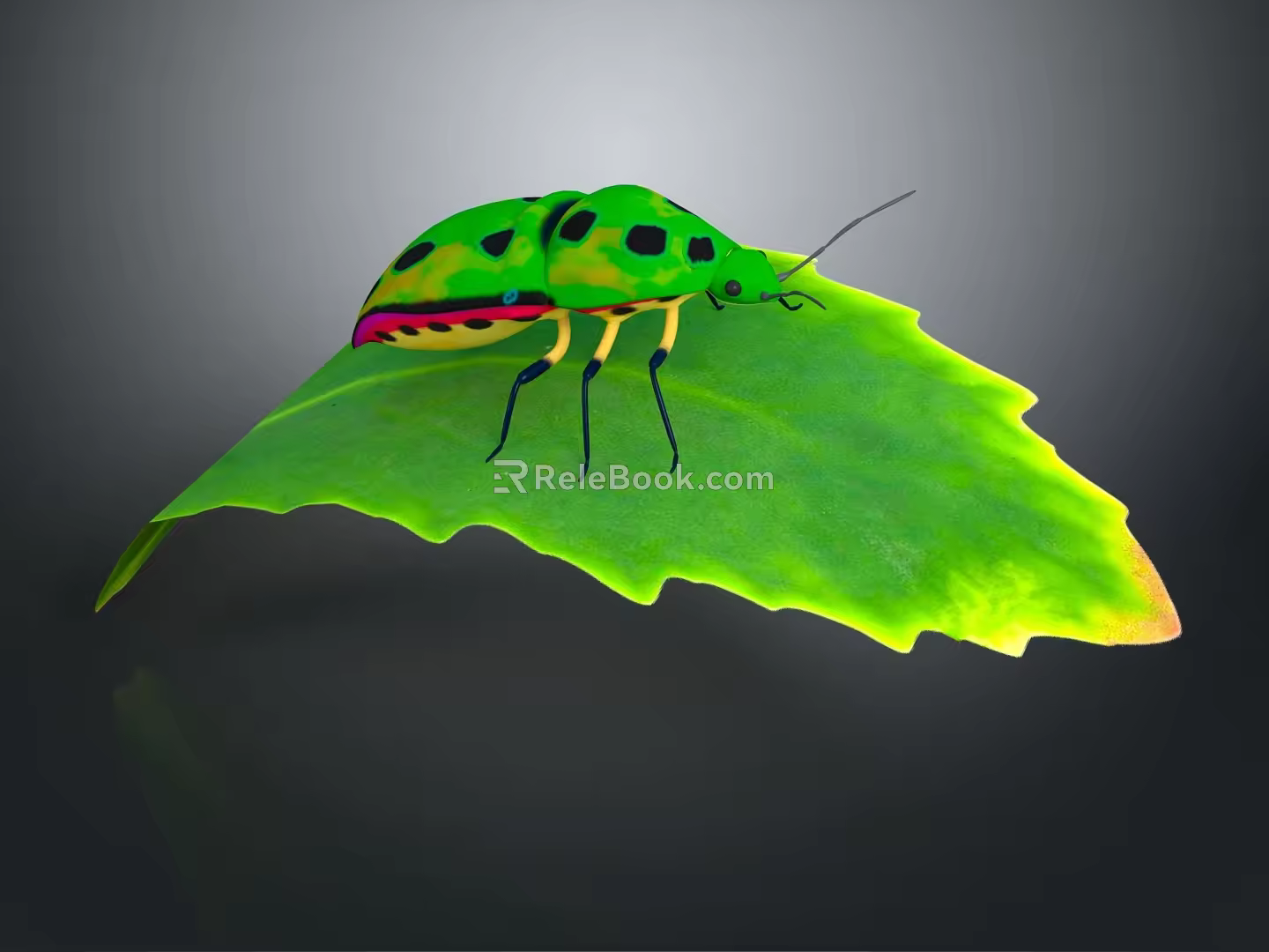 Modern Ladybug Bug 3d model
