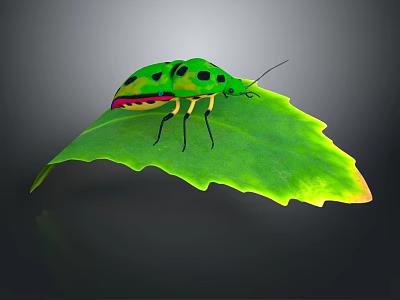 Vibrant Green Flying Insect With Black Spots Perched On Fresh Green Leaf 3d model Vibrant Green Flying Insect With Black Spots Perched On Fresh Green Leaf 3d model
