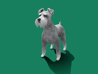 Cute Gray Schnauzer Dog Standing On Green Background With Shadow 3d model