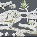 Natural Snow Covered Stones And Wood Branches With Small Plants And Green Moss