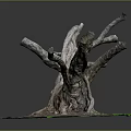 Natural Twisted Tree Roots Structure With Green Moss And Soil Base