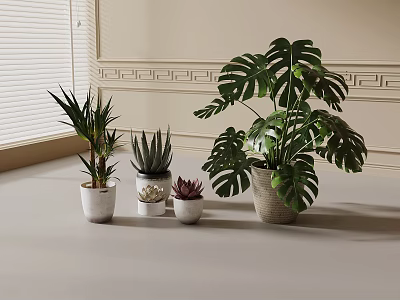 Various Indoor Potted Plants Including Monstera And Succulents On Tabletop With Window Blinds 3d model