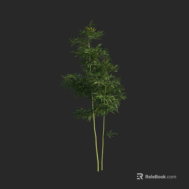 Tall Bamboo Plant with Green Leaves and Yellow Stems on Black Background 3d model 