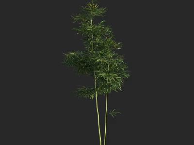Tall Bamboo Plant with Green Leaves and Yellow Stems on Black Background 3d model