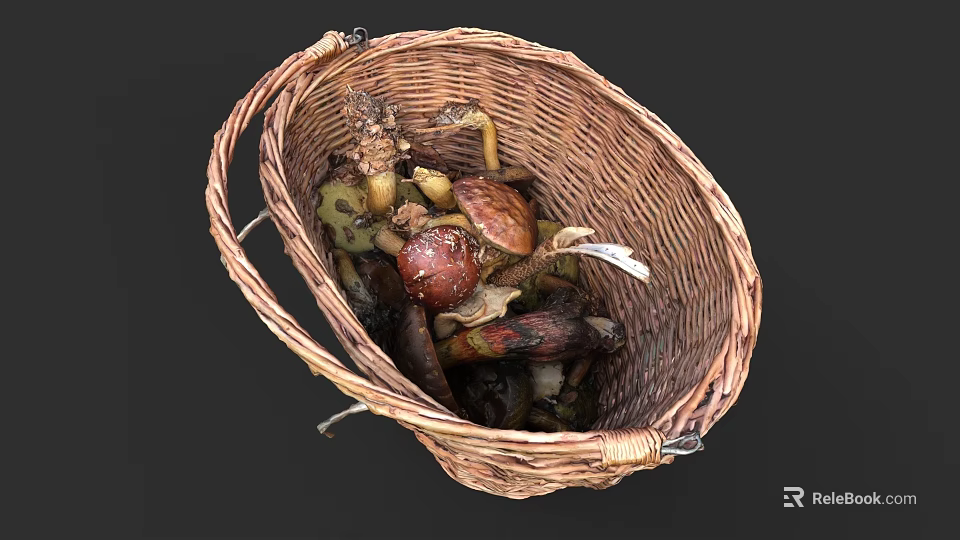 Detailed Botanical Painting of Woven Basket Filled with Fresh Wild Mushrooms 3d model 
