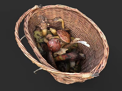 Detailed Botanical Painting of Woven Basket Filled with Fresh Wild Mushrooms 3d model