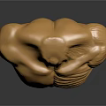 Golden Human Torso Sculpture Showcasing Detailed Organs And Artistic Hair Textures With Muscular Structure