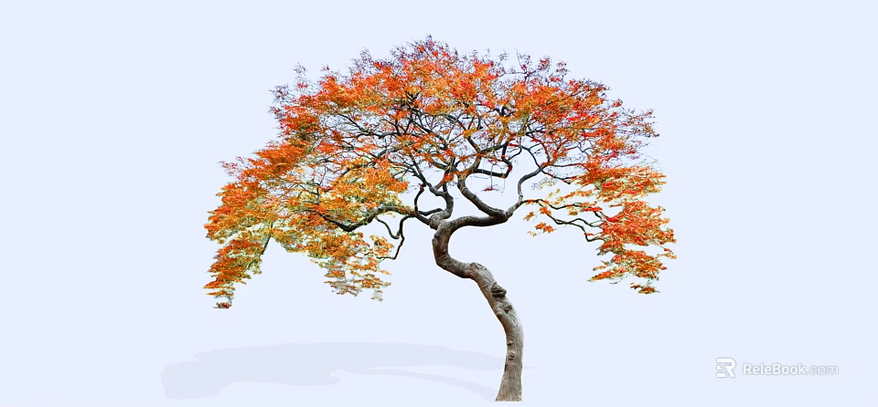 Arbor with Curved Trunk and Colorful Orange Red Yellow Leaves in Autumn Landscape 3d model 