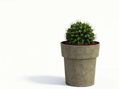 Green Cactus Potted Plant in Gray Concrete Pot with White Background 3d model