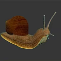Vibrant Orange Snail with Red Striped Shell and Textured Body on Dark Background