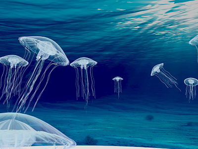 modern jellyfish model