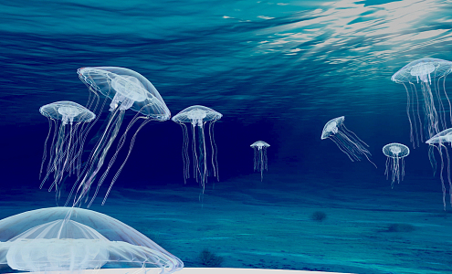 modern jellyfish 3d model