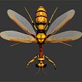 Modern Wasp Bumblebee Insect Fantasy Insect Big Dragonfly 3d model