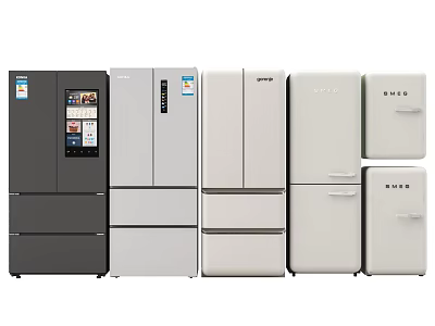 Refrigerators and Freezers in Various Styles and Colors for Home Kitchen Use 3d model