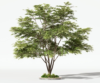 Trees Arbor 3d model