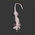 Pink Hairless Sphynx Cat with Large Ears Green Eyes and Pink Paws on Dark Background