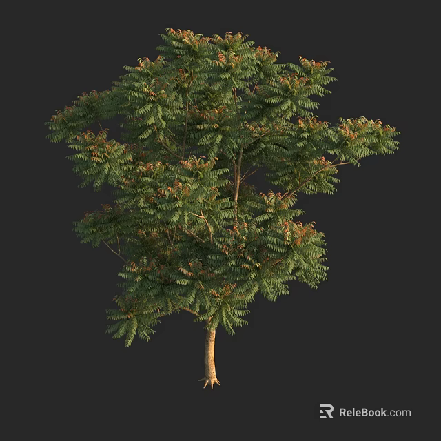 Lush Green Arbor With Dense Foliage And Strong Trunk On Dark Background 3d model 