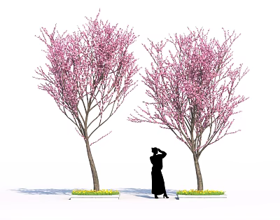 Woman Collecting Pink Cherry Blossoms To Make Homemade Spring Desserts 3d model