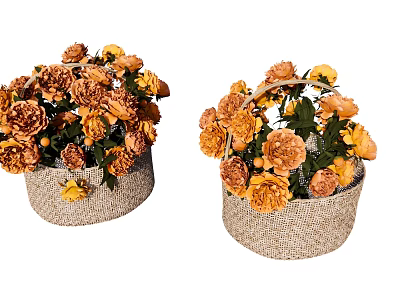 Beautiful Orange And Yellow Flowers In Wicker Baskets With Green Leaves 3d model