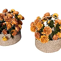 Beautiful Orange And Yellow Flowers In Wicker Baskets With Green Leaves